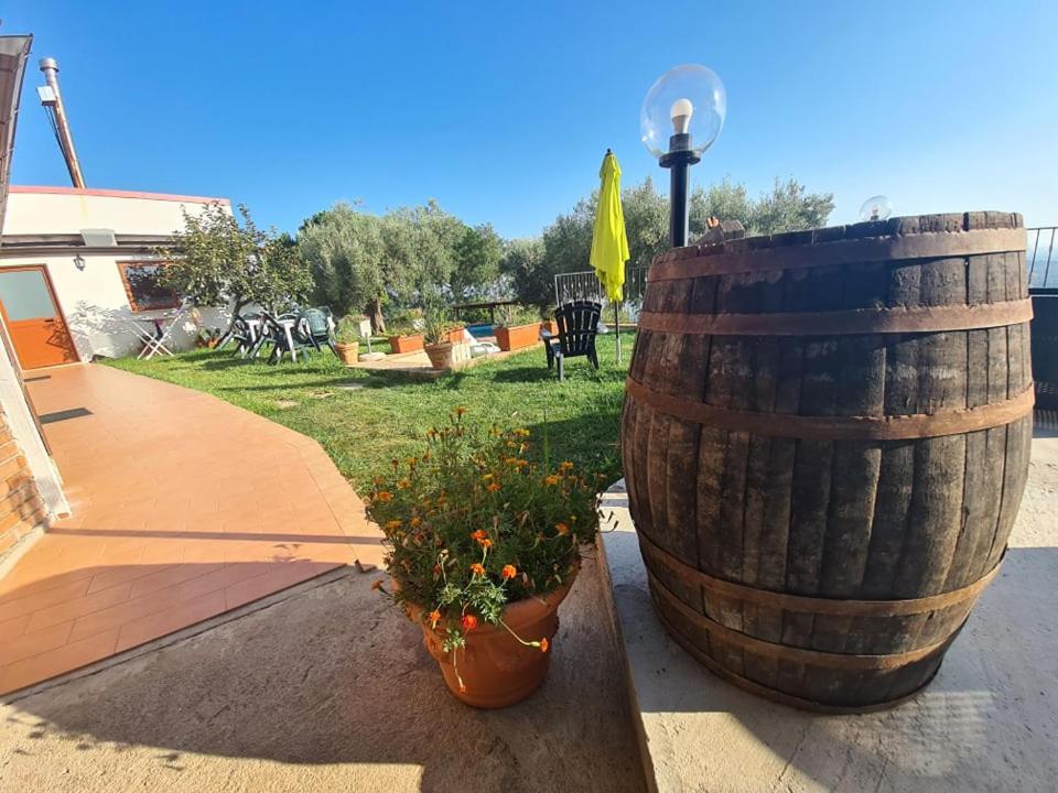 Отель Il Colle Degli Ulivi San Calogero Экстерьер фото